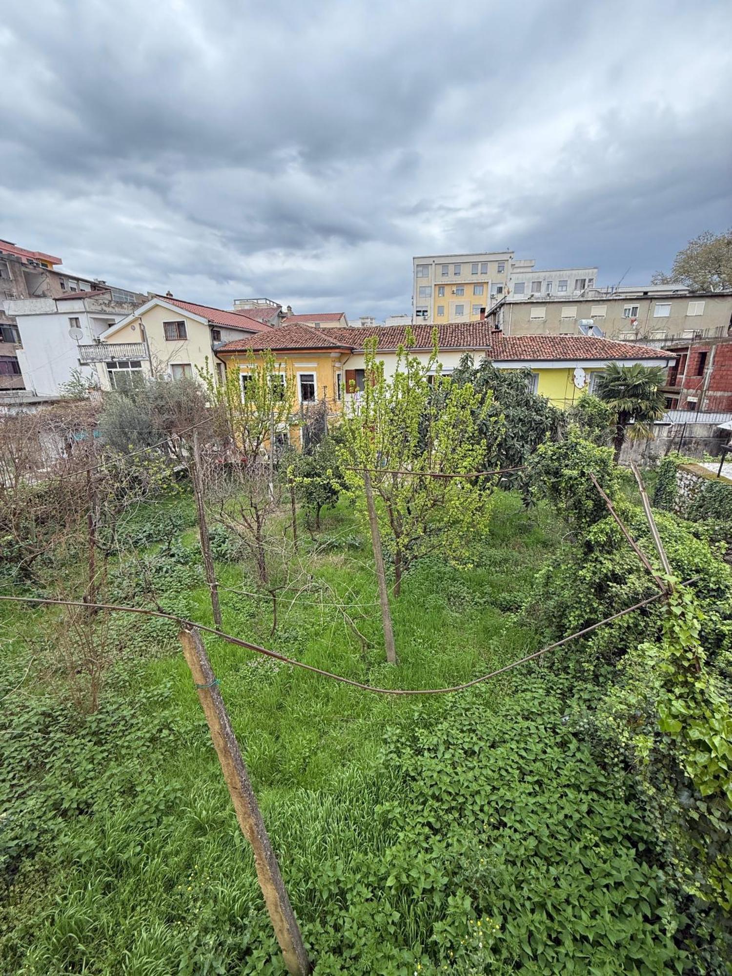 2 * Szkodra