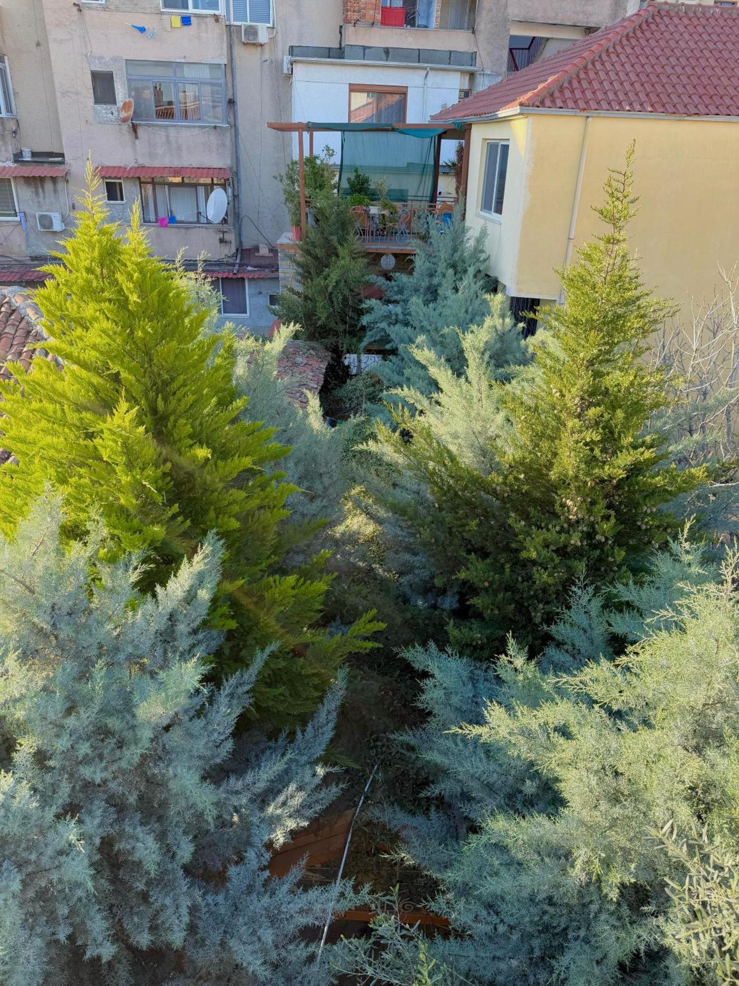 Apartament 2 *